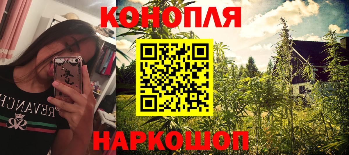 Марихуана сатива Луховицы